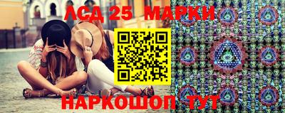 гидра Новодвинск