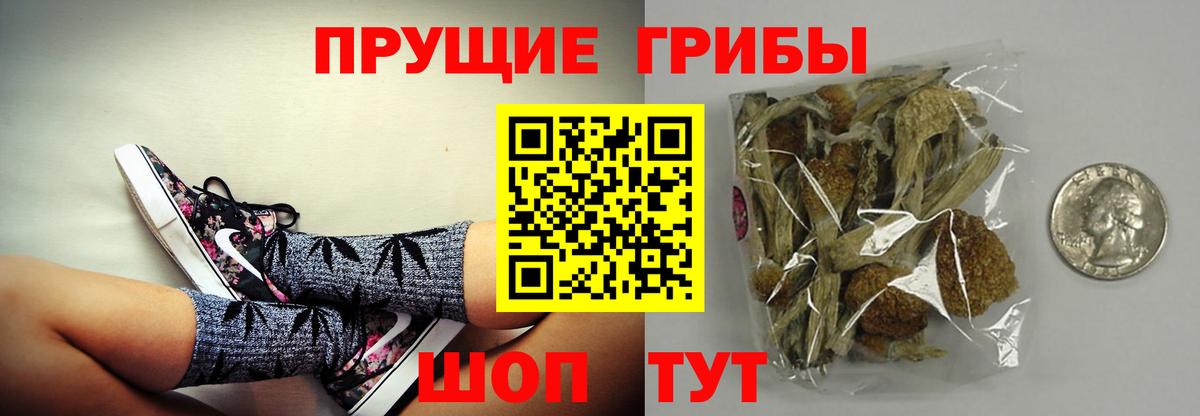 Спасск-Дальний  Галлюциногенные грибы Psilocybine cubensis  Вход с VPN 